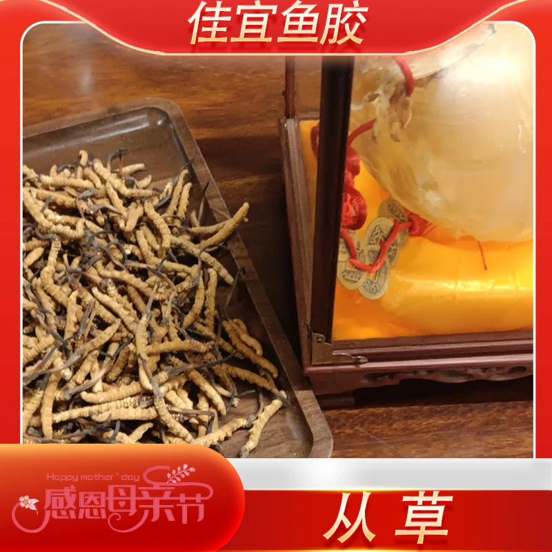 【佳宜鱼胶母亲节专属】广东 1500条那曲从草
