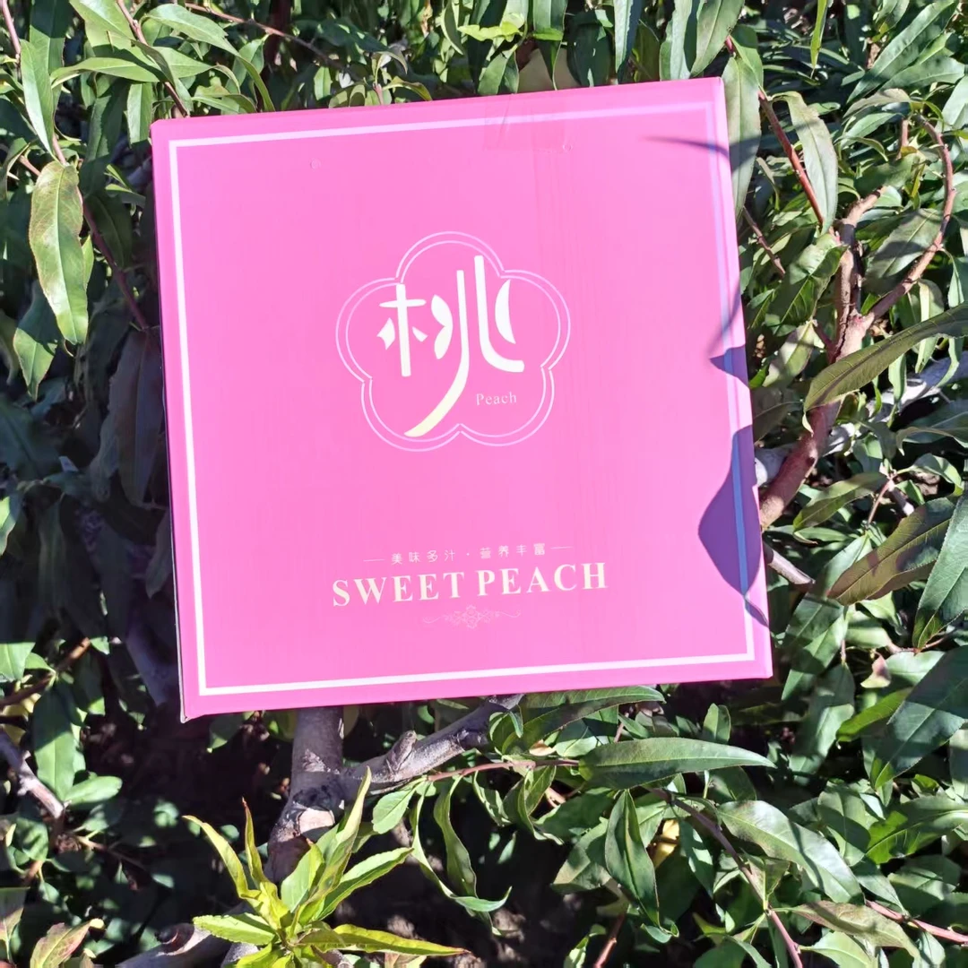 天山大雪桃桃王单果净重350g~450g6-7斤九个桃子