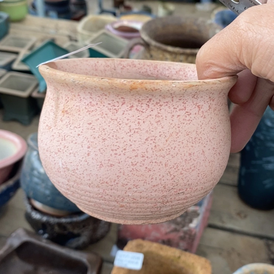 211号多肉盆口径8