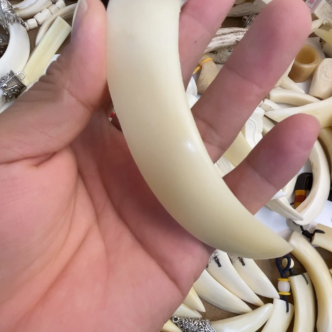 猪牙把件猪牙獠牙