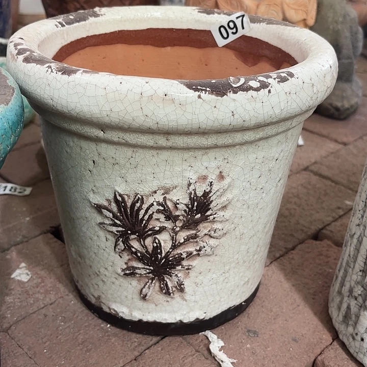 许纯的花房 白色仙草