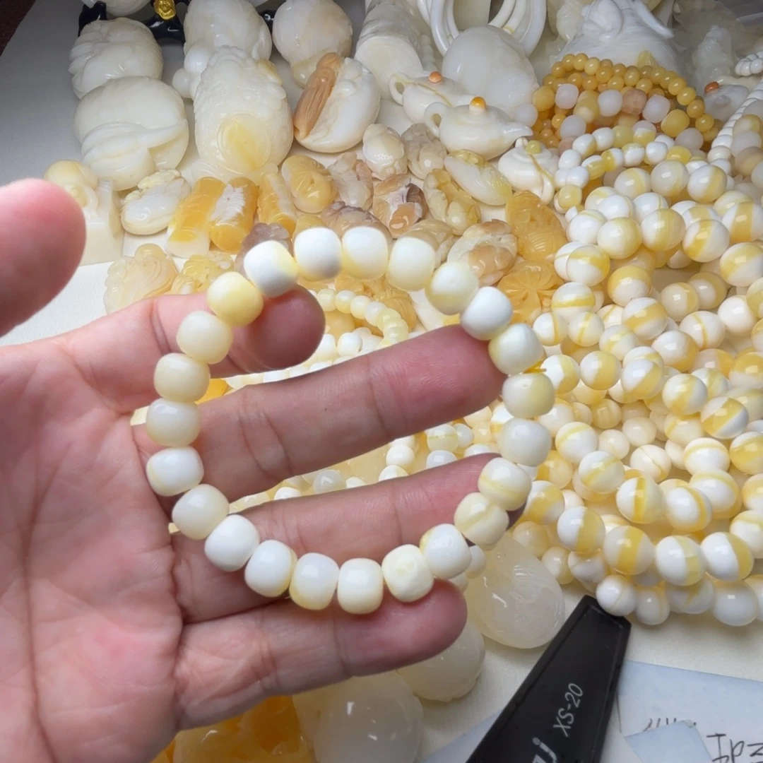 关***鸠贝壳非金属天然贝壳