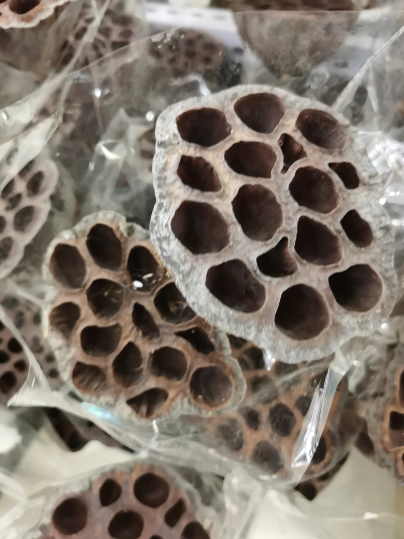 莲蓬干花6枝 铁丝杆子 西藏新疆可发