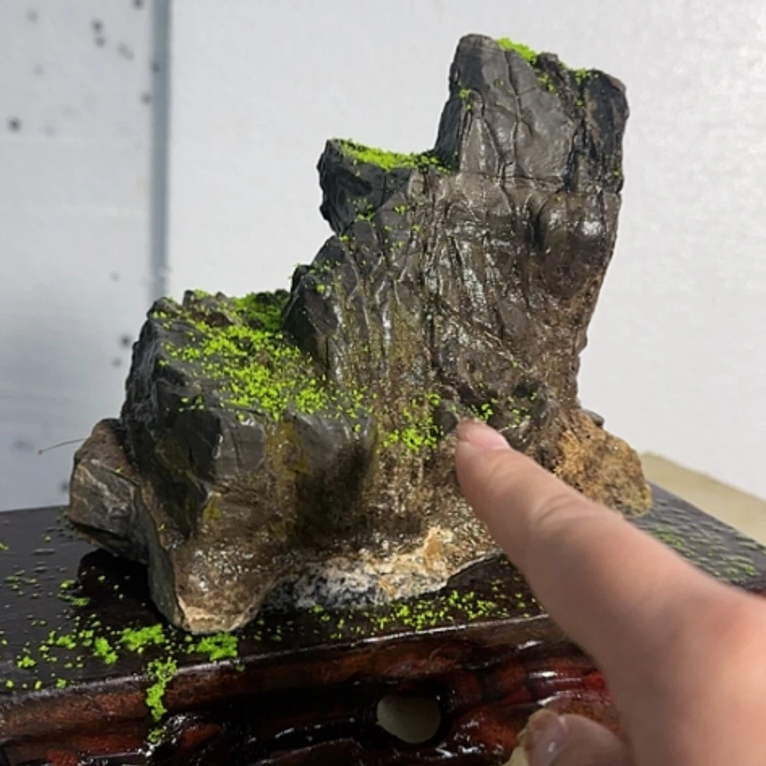 【闪购商品】香榧木结*哦。这个世界上最大