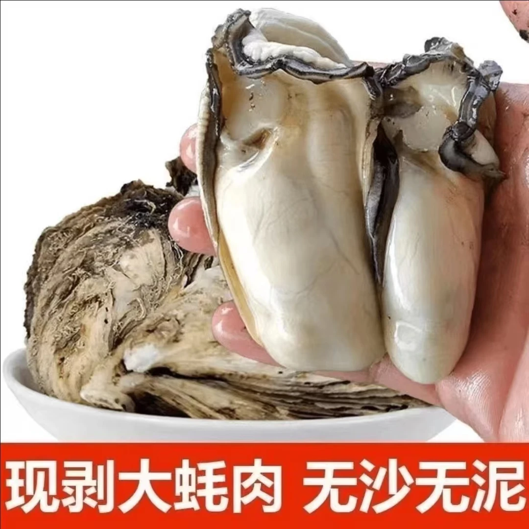 大个头原浆生蚝肉（每盒5-8只）新鲜饱满 每日现剥 250g/盒