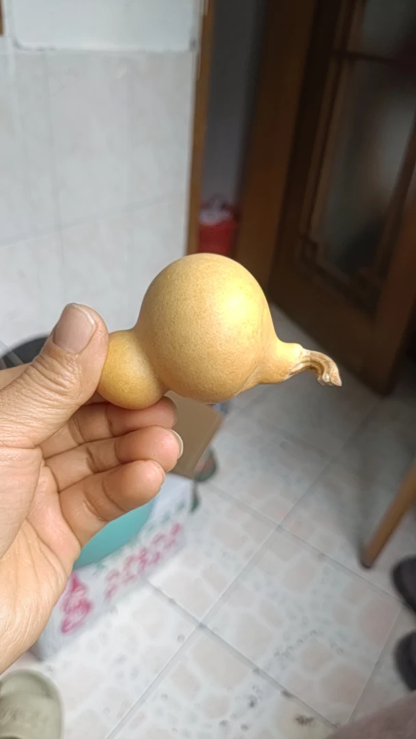 异形小鸟，抽而不裂