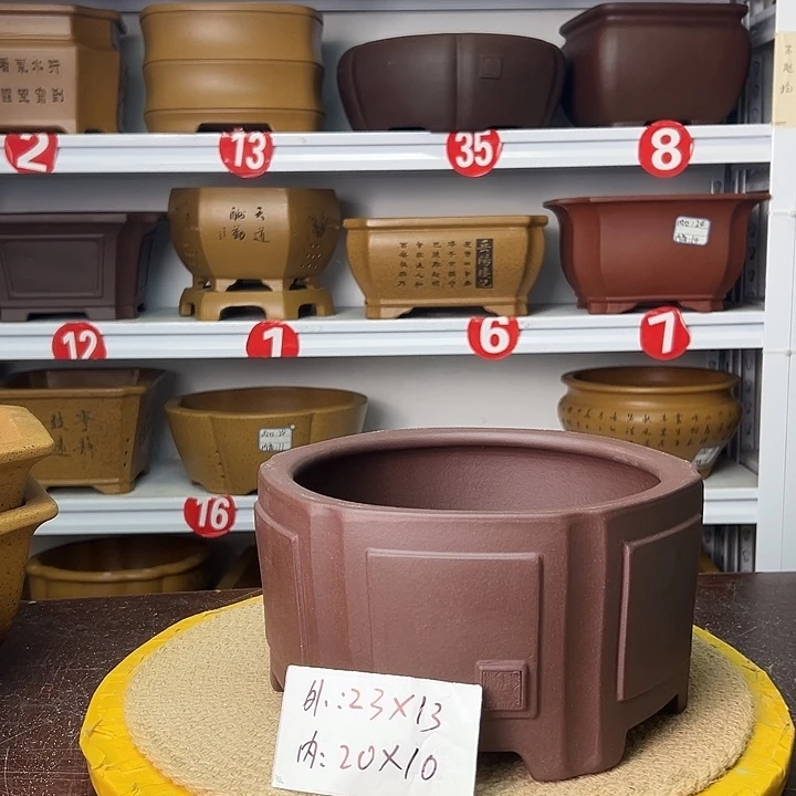 花盆紫砂蛇年大吉