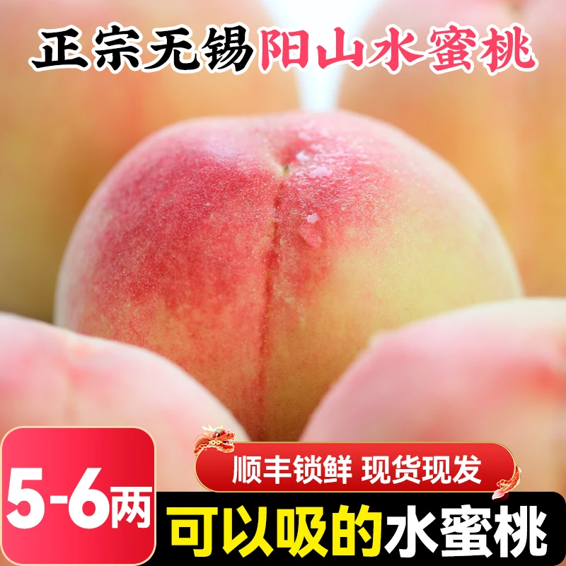 【5-6两8个】湖景正宗无锡阳山水蜜桃新鲜水果当季整箱湖景山礼盒