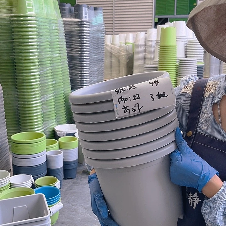 四季盆4#灰白色8个无托