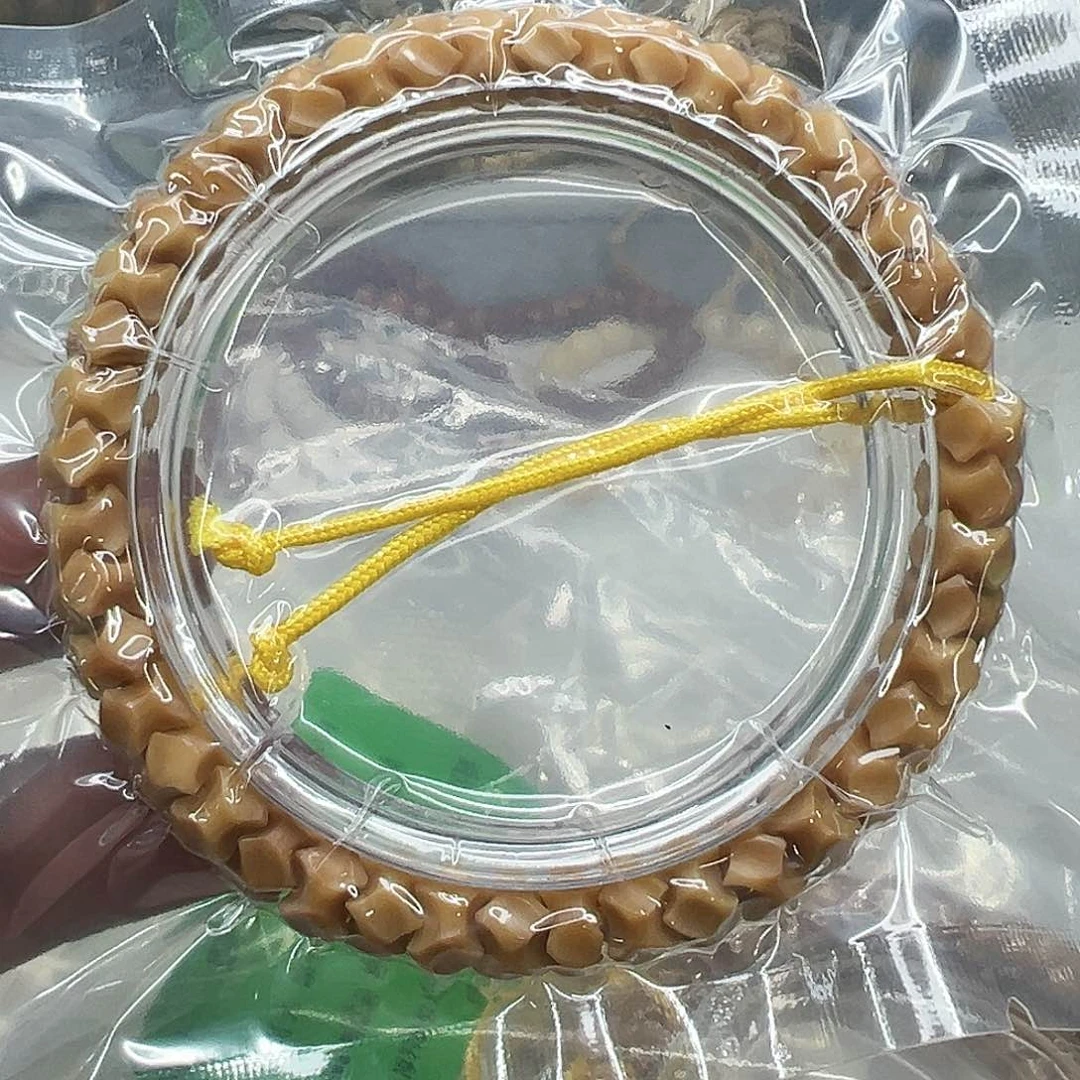 星月菩提手串46龙脊菩提单圈雕刻龙骨0.8