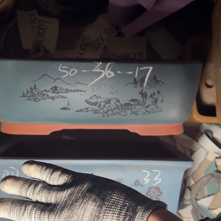 周深周深周深周深