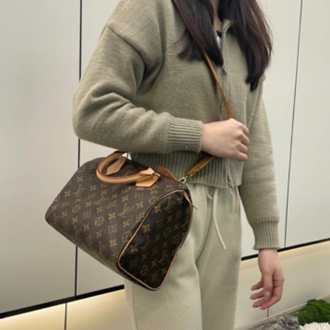 95新 LouisVuitton/路易威登 Speedy 25/手提款