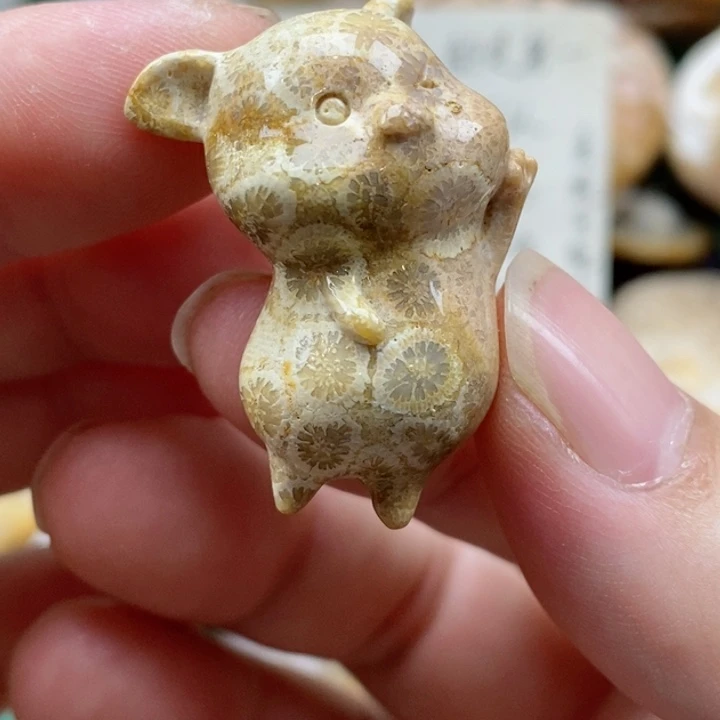 硅化珊瑚（珊瑚玉）未镶嵌颈饰没打孔