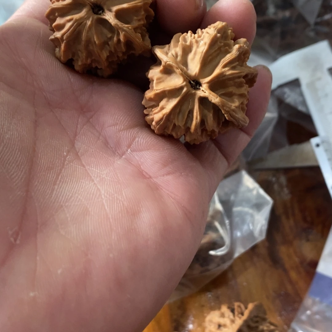 秦岭南侧和东北北部部分