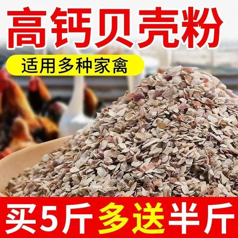 高钙贝壳粉鸡饲料蛋鸡鸭鹅禽用补钙添加剂防软壳鹦鹉鸽子兽用钙粉