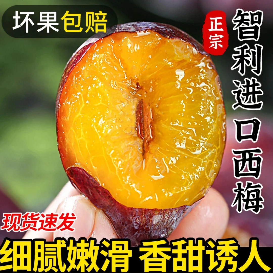 【顺丰包邮】智利进口西梅1-5斤新鲜水果汁多坏果包赔现货现发