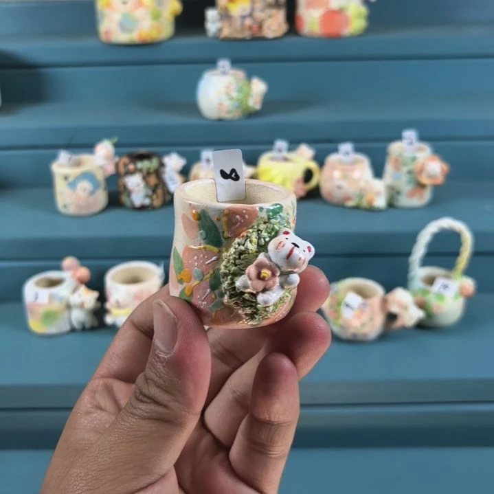 宏***雨流星雨多肉拇指花盆