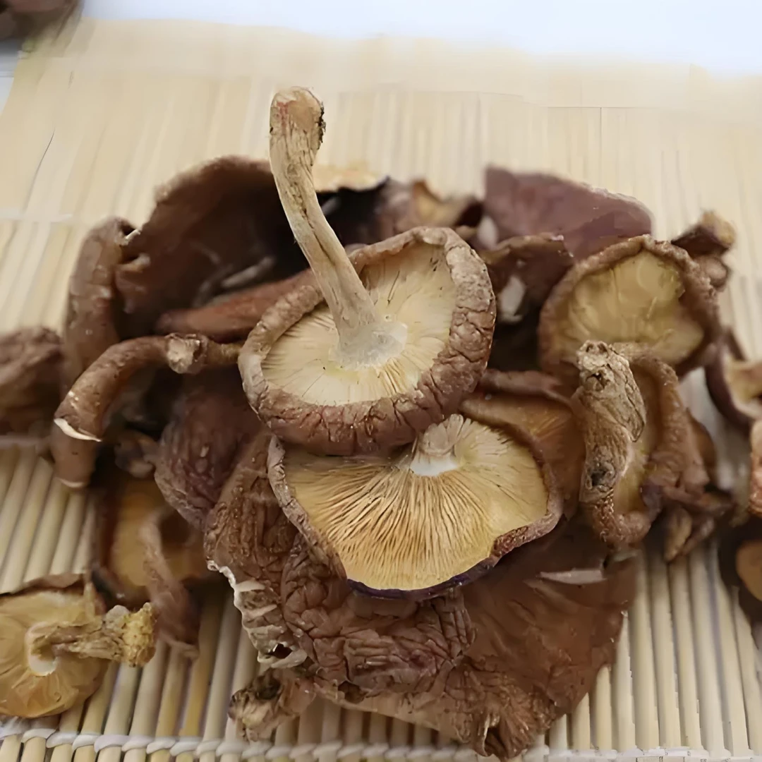 【云农优选】楚雄高山纯野生香菇