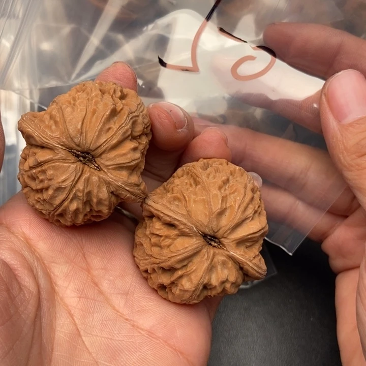 文玩核桃把件50号元宝