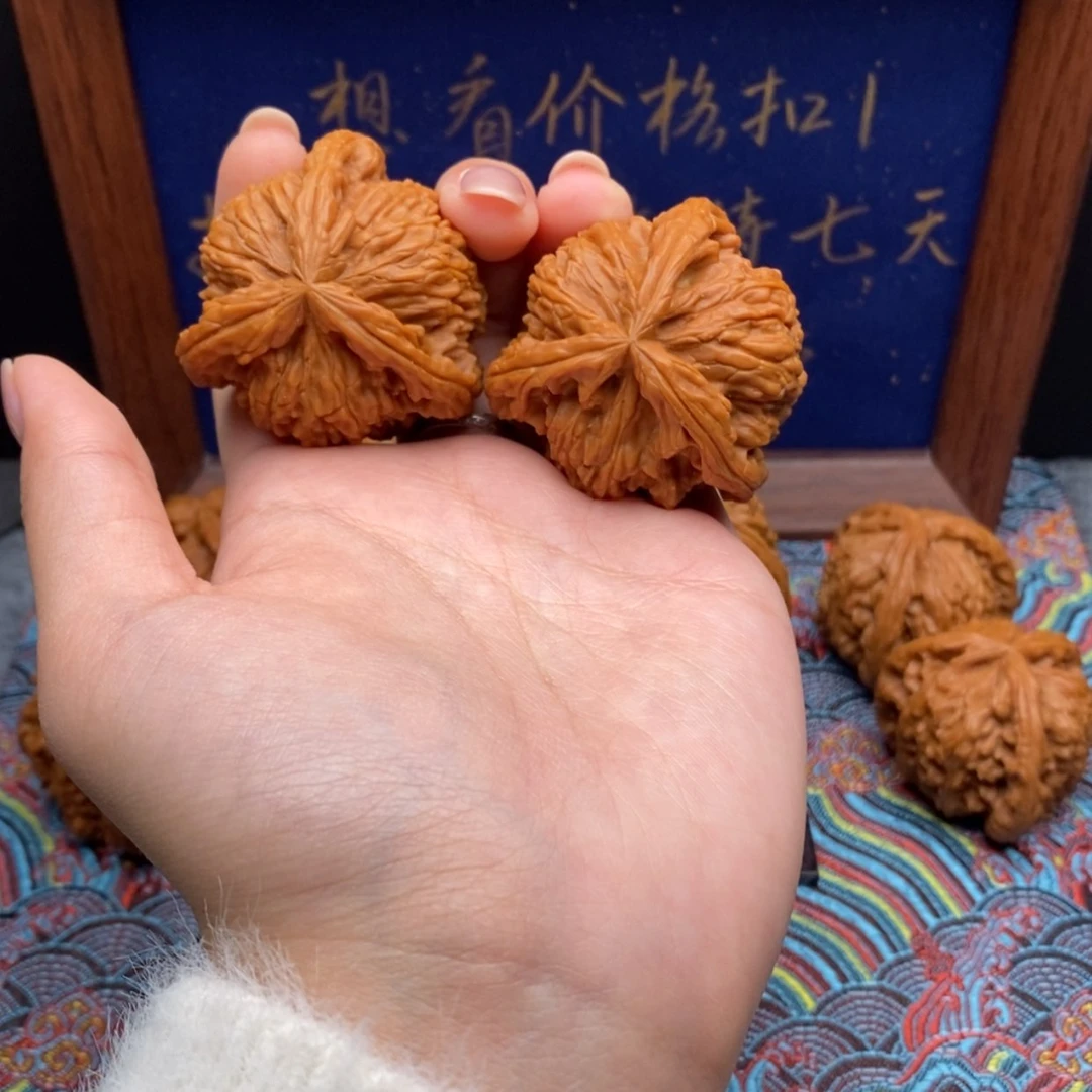 【闪购商品】?白狮