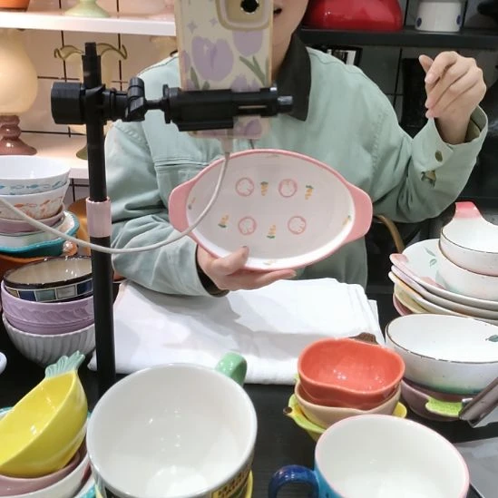 瓷高温瓷釉下彩菜盘