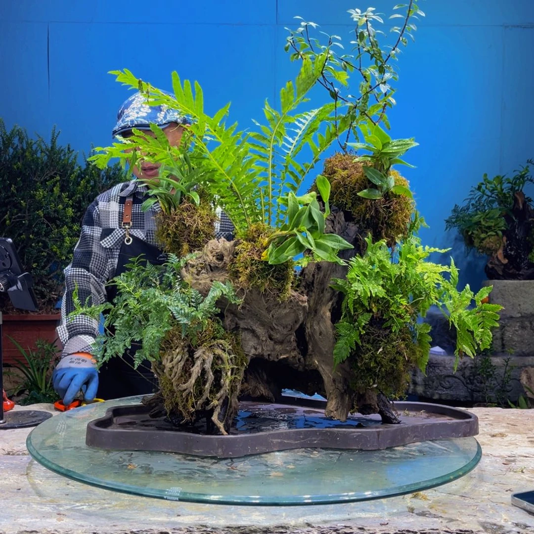 老***）完全开放111111111111