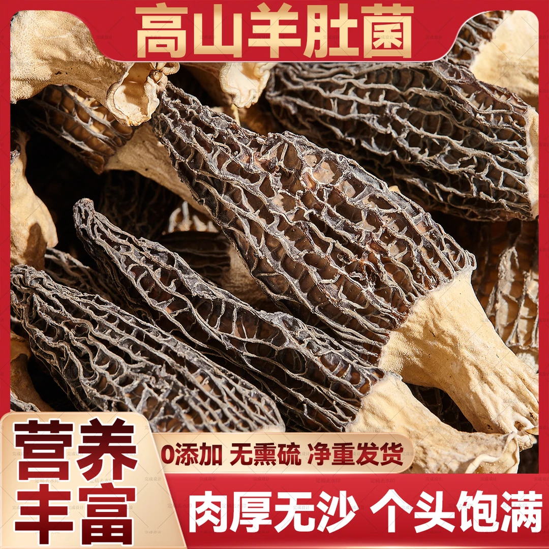 精选高山头茬羊肚菌50g罐装特产山珍干货肉厚无沙炖汤煲汤6-8cm