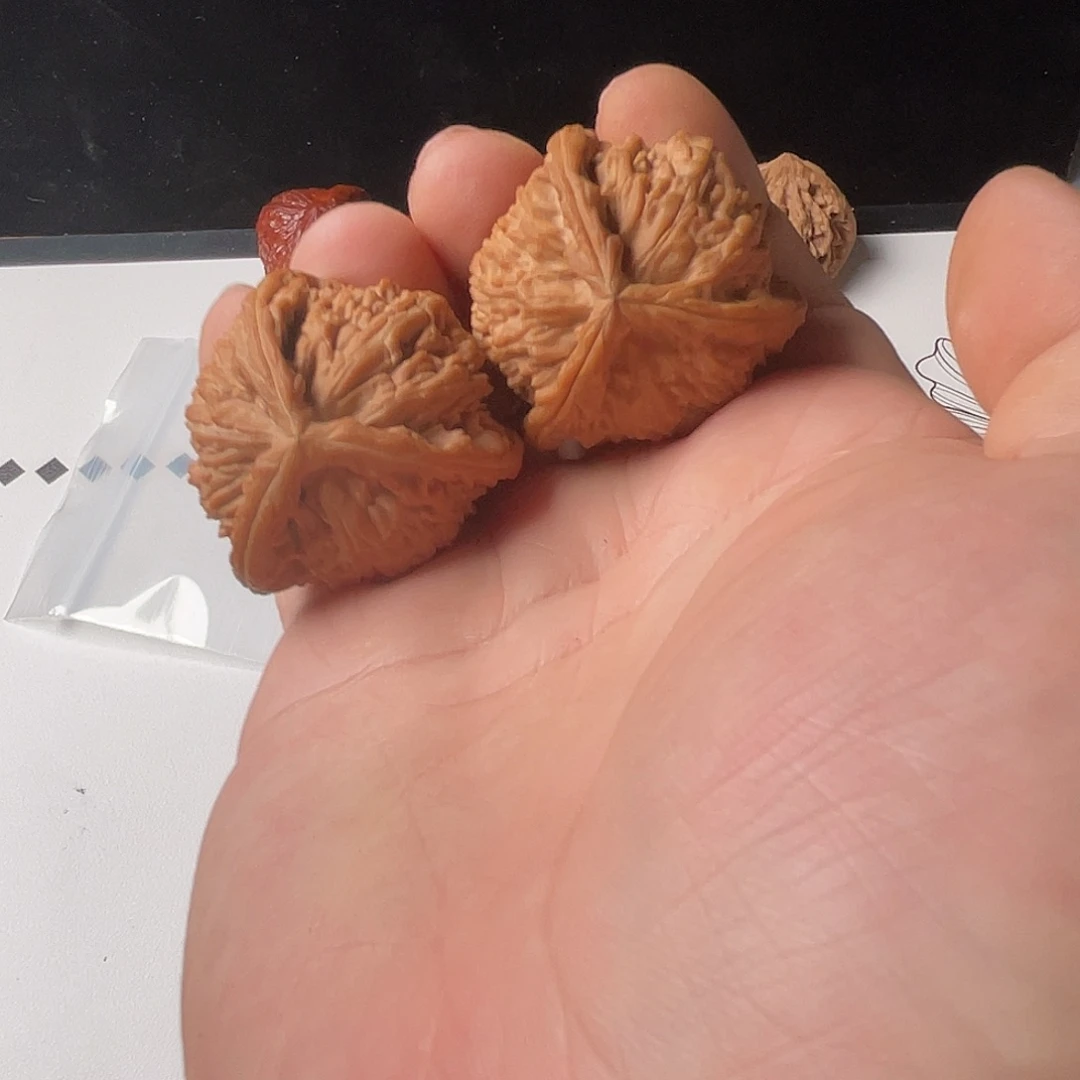 核桃树是世界的树枝