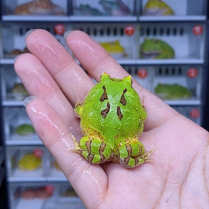 特价秒杀现货特价