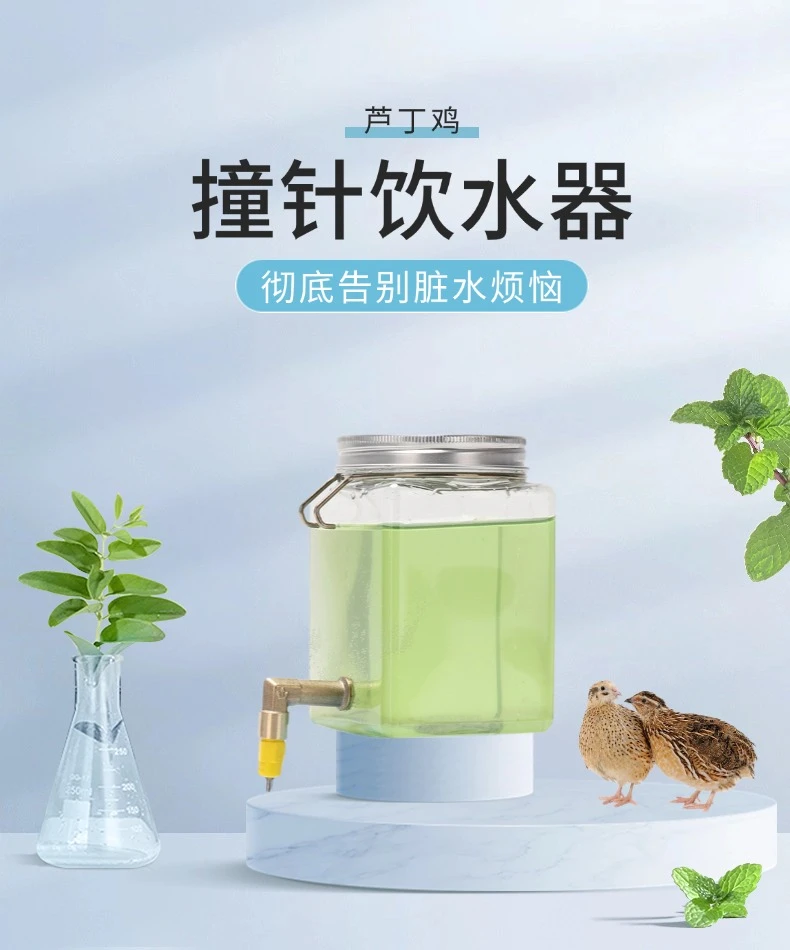 鹦鹉撞针饮水器鸟用自动喂水大容量防污水壶芦丁鸡用品饲养箱专用