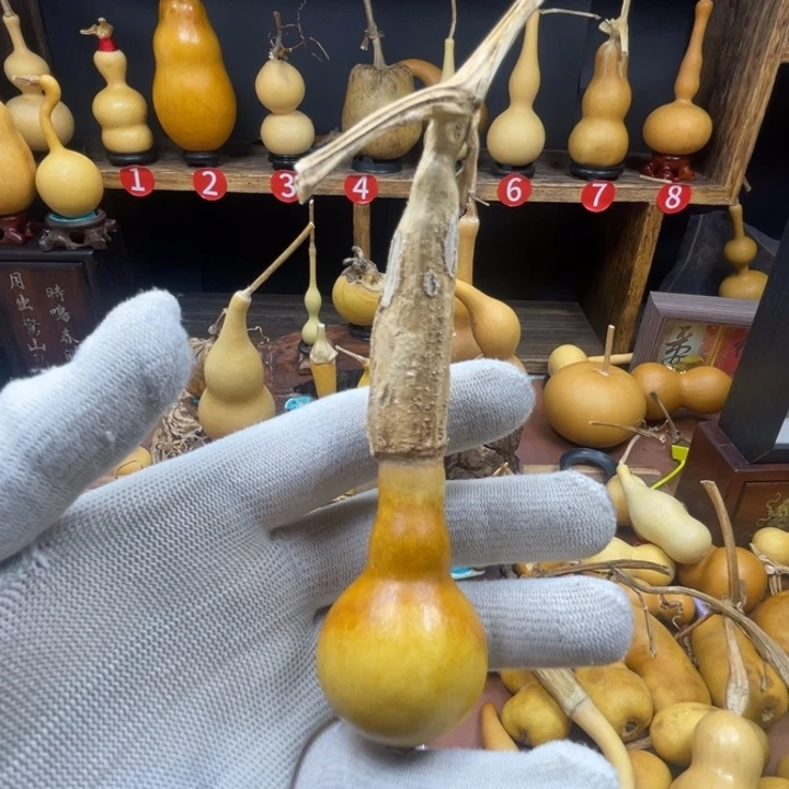 前***3葫芦葫芦葫芦葫芦葫芦