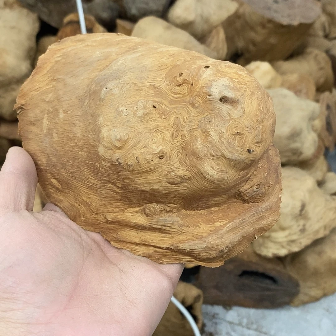 荔枝木香***境荔枝木原料