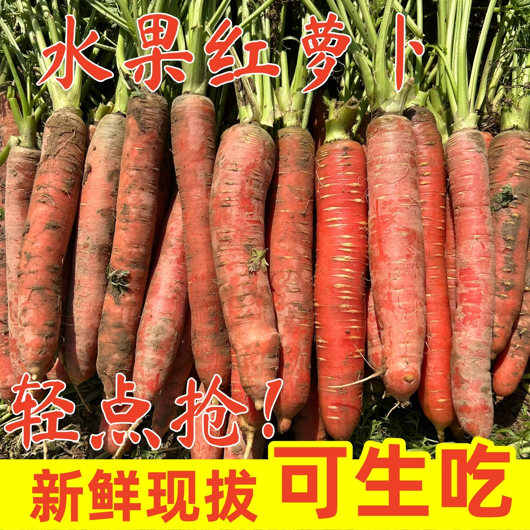 (2025新果)陕西沙地水果红萝卜新鲜现挖脆甜胡萝卜新鲜不是胡萝卜