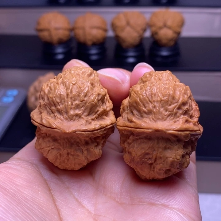 把件文玩核桃刺甲苍龙44