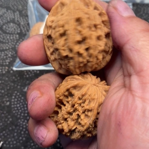 文玩核桃把件虎头1.1