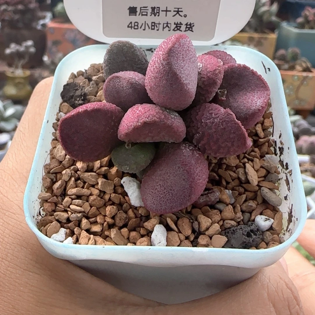 福利。  287。