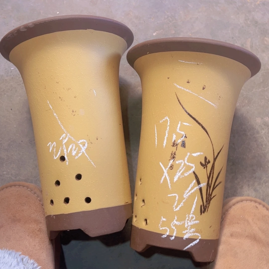 紫砂55…………………………………………