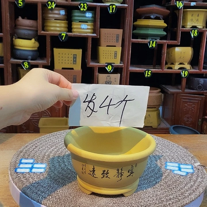 紫砂花盆紫砂花盆