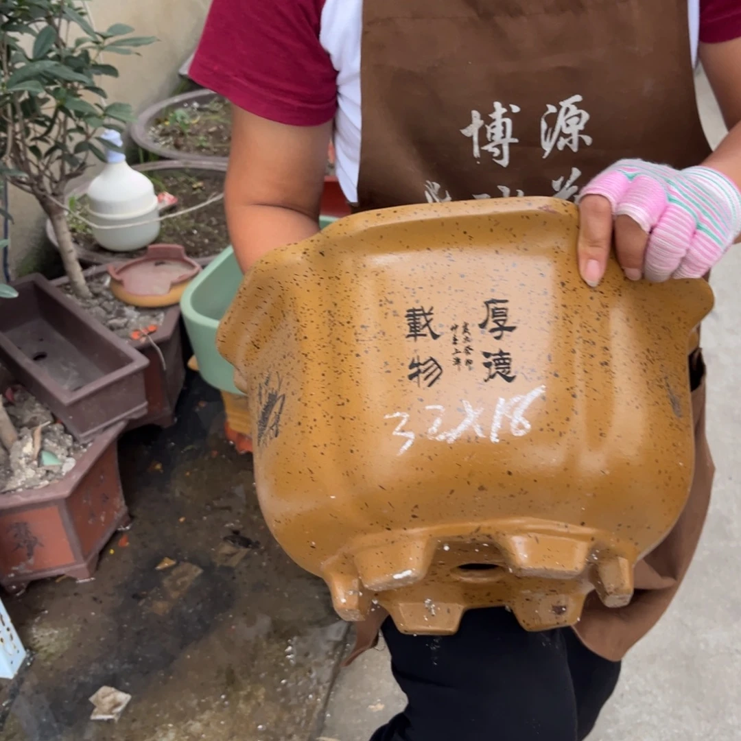 紫砂花盆盆景艺术