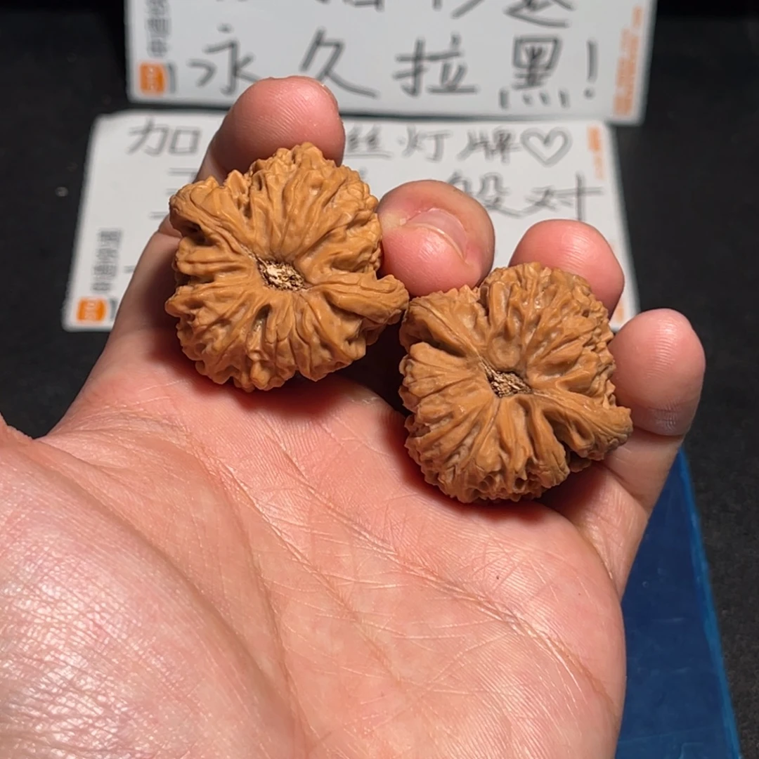 36龟背凹底涿鹿丑疆全品