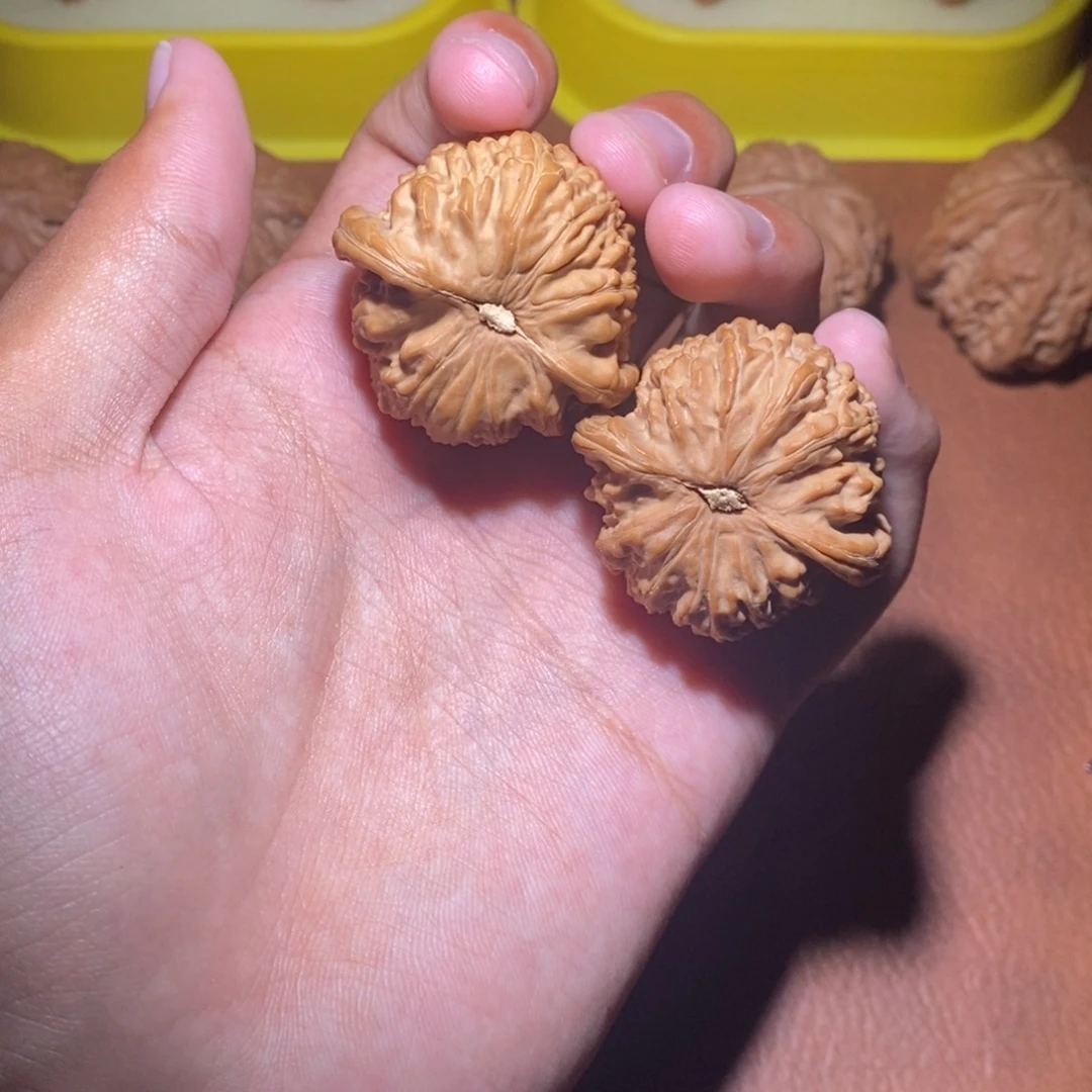文玩核桃福利白狮子38