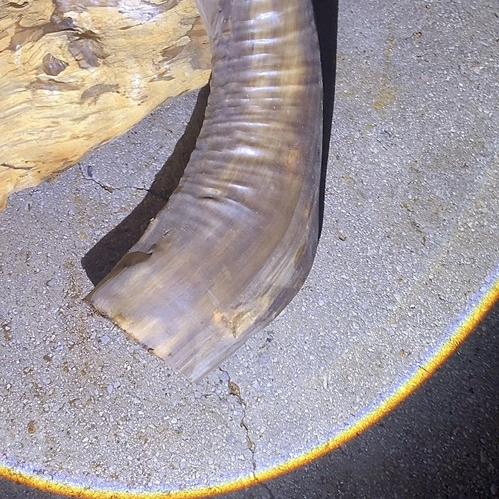 w***t手串/手链楠木（金丝楠）