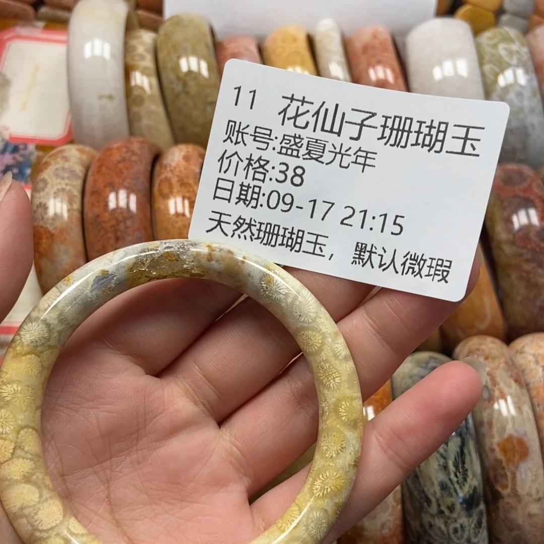 盛***年未镶嵌硅化珊瑚（珊瑚玉）珠宝半成品11