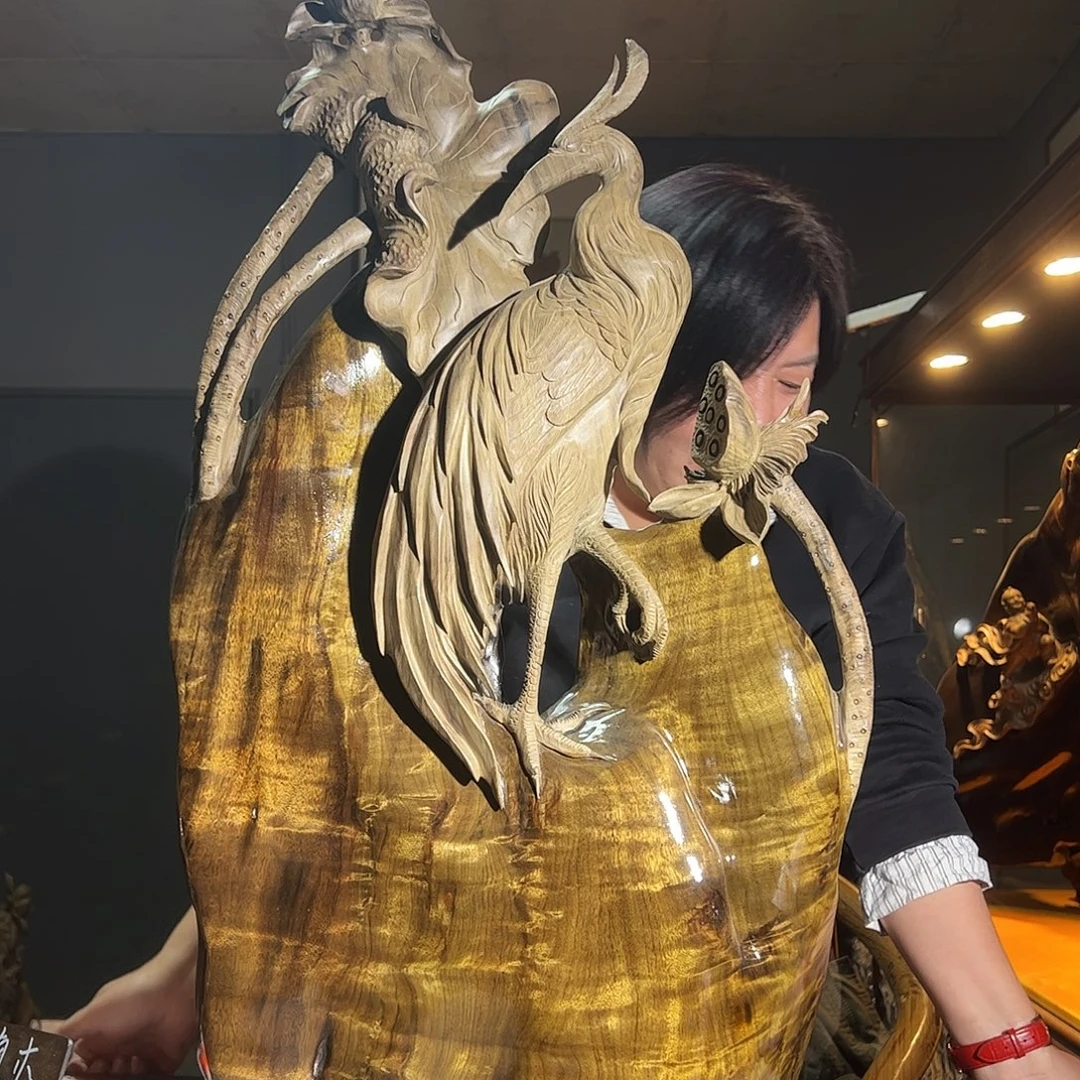 金丝楠一物一拍 5885888888888