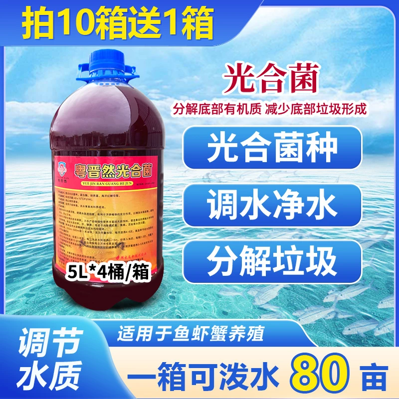 粤晋然光合菌菌种水产养殖专用鱼虾蟹调水净水分解垃圾扩培培养基