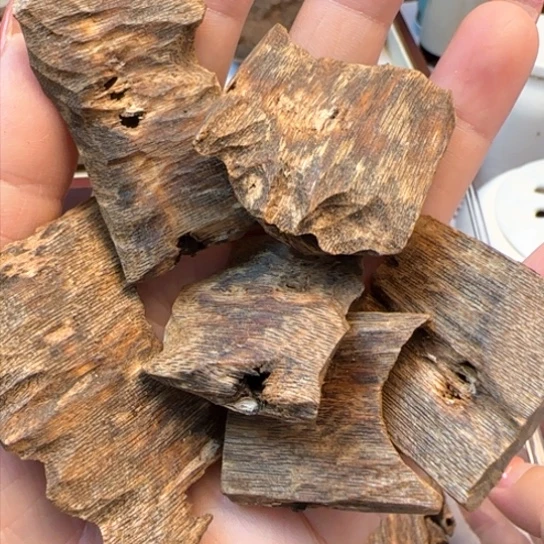 沉香摆件广东陆丰陆河50克