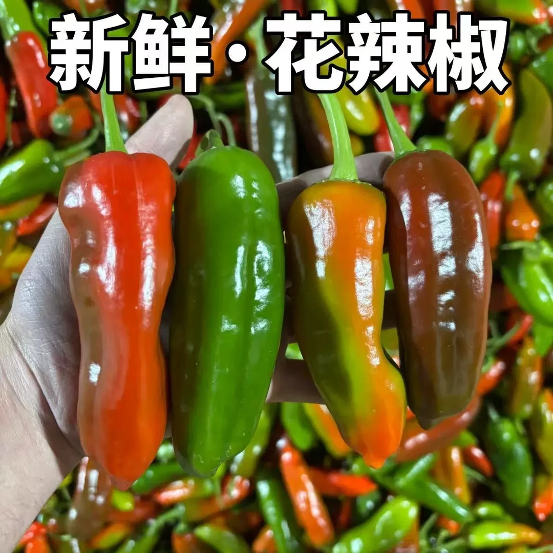 山东新鲜现摘 花辣椒（3/4斤）