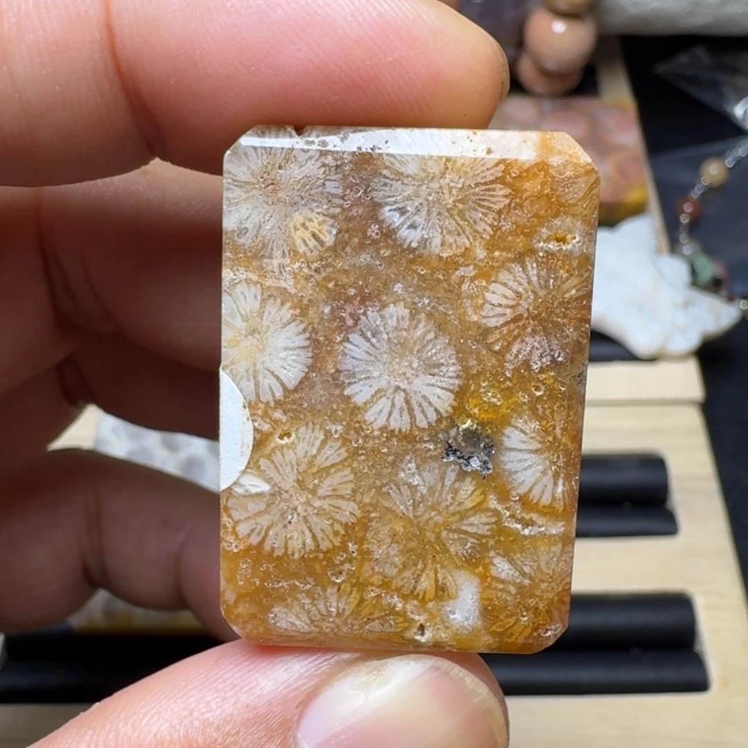 硅化玉未镶嵌纯天然色有机玉石保真色