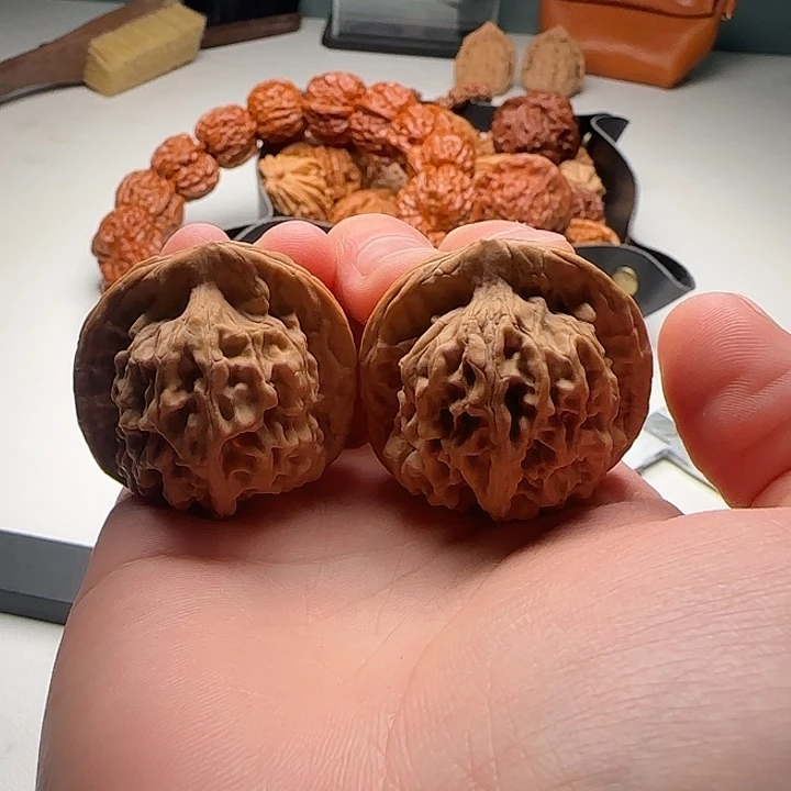 37-36-37一代天地C26号