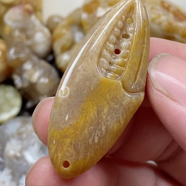 颈饰未镶嵌硅化珊瑚（珊瑚玉）